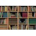 Мартин, Малыш и Говорящая Книга. История старой библиотеки