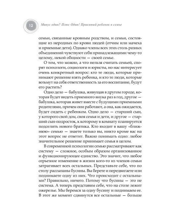 Дополнительное изображение книги «Минус один? Плюс Один! Приемный ребенок в семье»