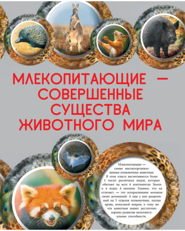 Животные. Большая иллюстрированная энциклопедия знаний