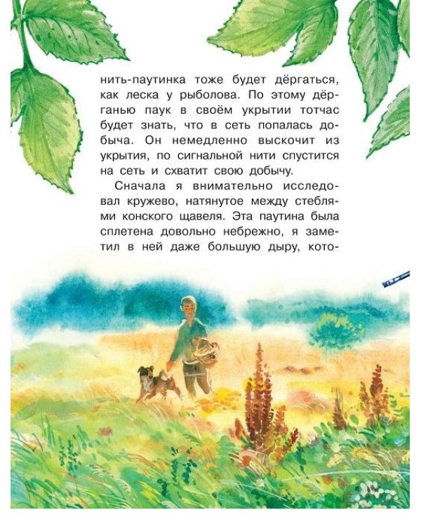 Кто развесил в лесу кружева?