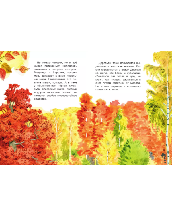 Почему осенью листопад?