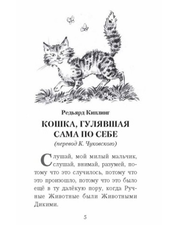 О пушистых кошечках
