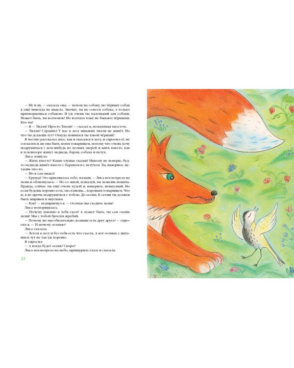 Храбрый Тилли. Записки щенка, написанные хвостом