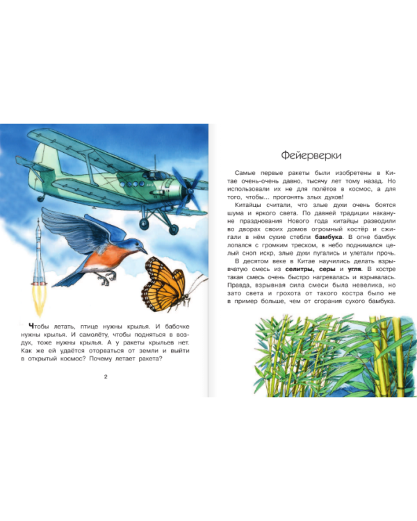 Почему ракета летает?