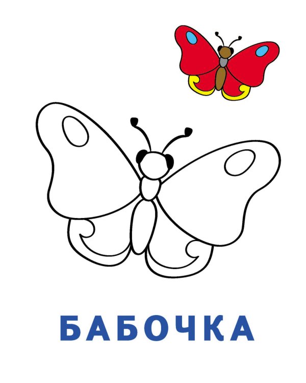 Раскраска-читалка. Букашки