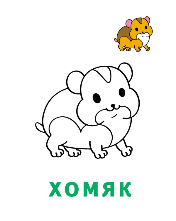 Дополнительное изображение книги «Раскраска-читалка. Домашние любимцы»