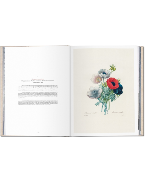 Redoute. Selection of the Most Beautiful Flowers