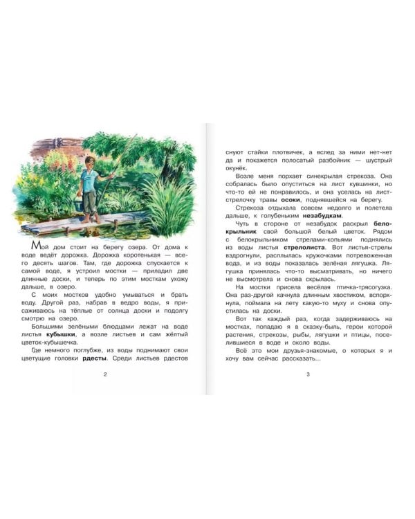 Что на озере растет?