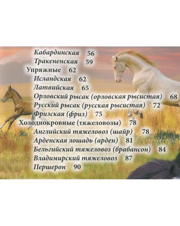Хочу знать. Лошади