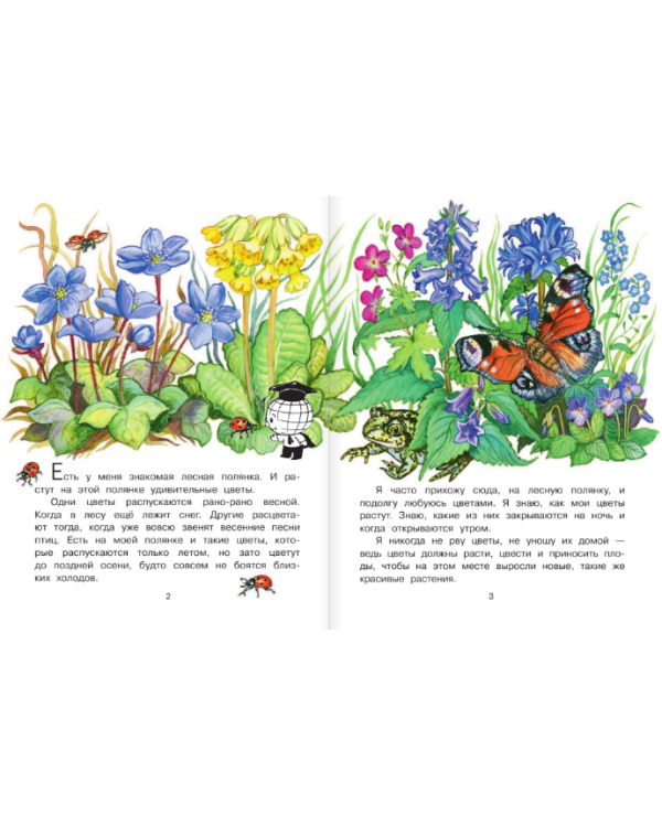 Что растёт на лесной поляне?