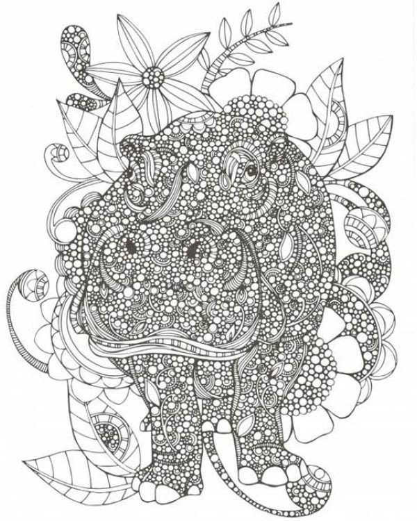 Необыкновенные животные (слон)