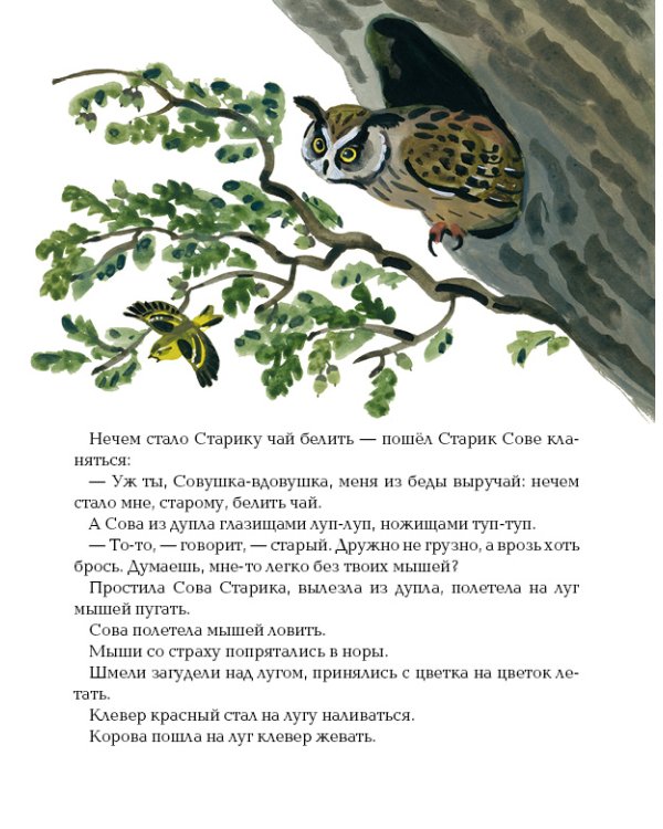 Дополнительное изображение книги «Сова»