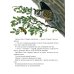 Дополнительное изображение книги «Сова»