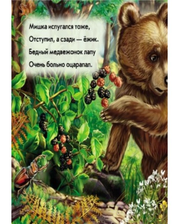 Медвежонок