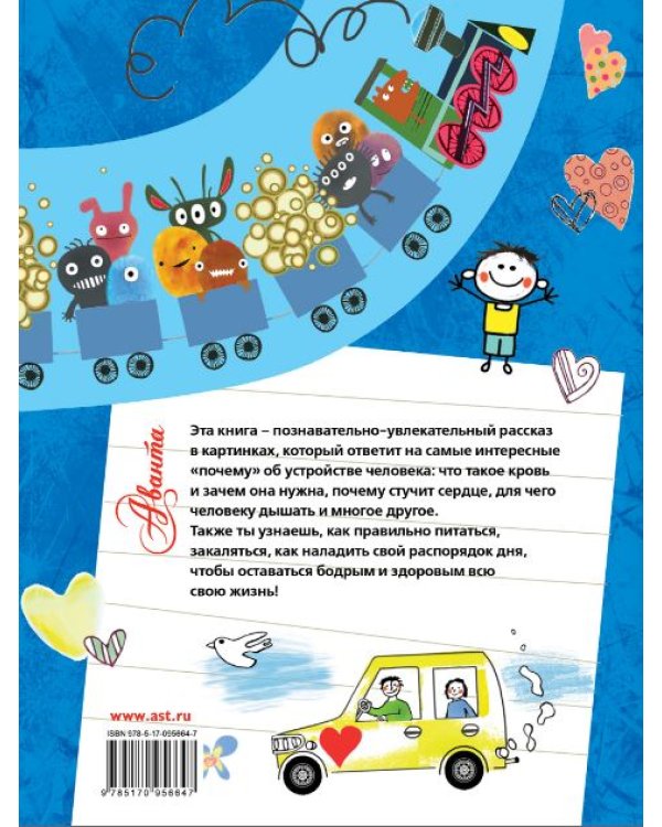 Как устроен человек?