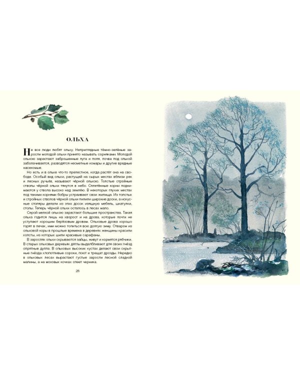 Русский лес