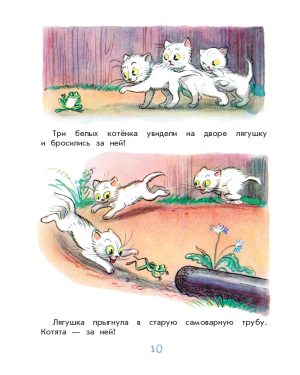 Сказки и картинки