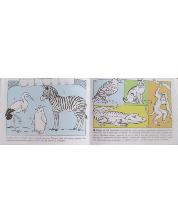 Кошка мяукает,поросенок хрюкает