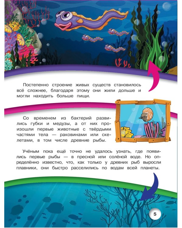 Подводный мир