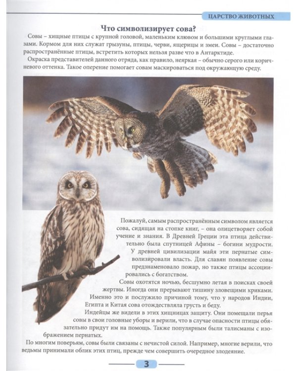 Что? Где? Почему?