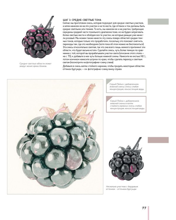Волшебный мир Анны Мейсон.Рисуем природу.Все секреты реалистичной живописи