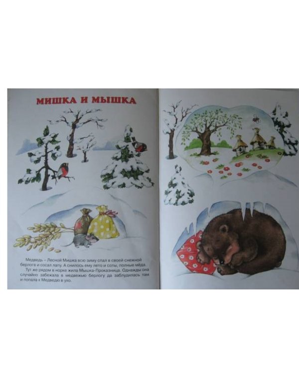 Мишка и все остальные