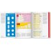 Food Infographics: A Visual Guide to Culinary Pleasures