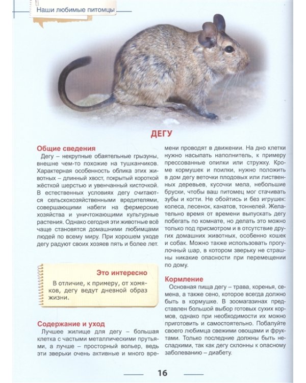 Наши любимые питомцы