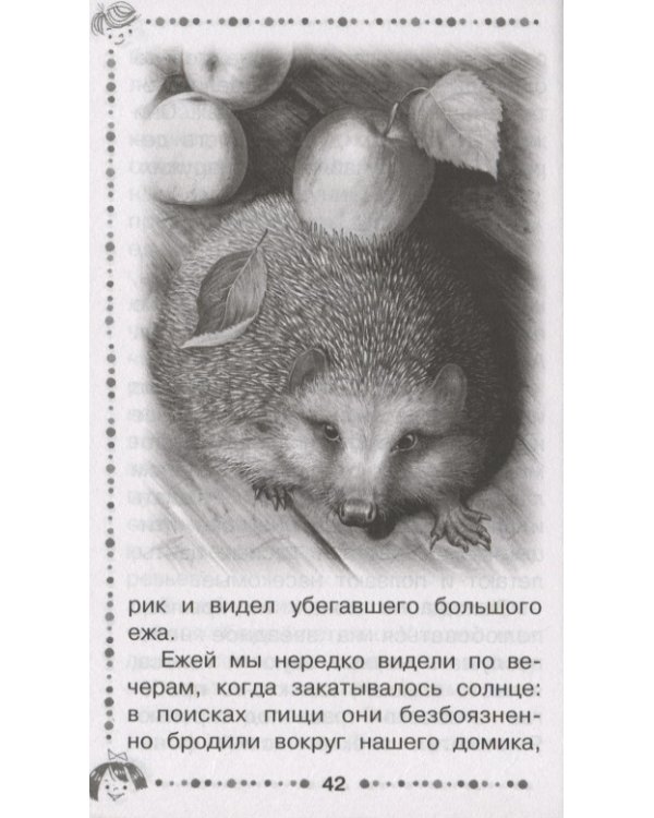 Дополнительное изображение книги «Рассказы о животных»