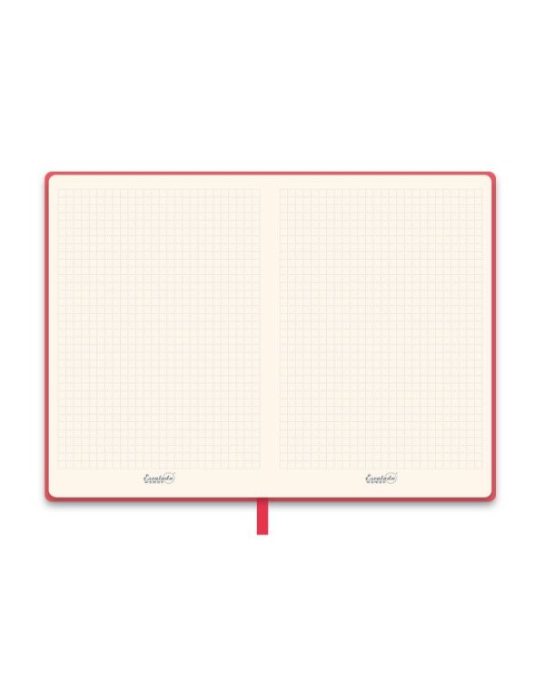 Ежедневник недатированный. Сариф, А5, 160 листов, красный