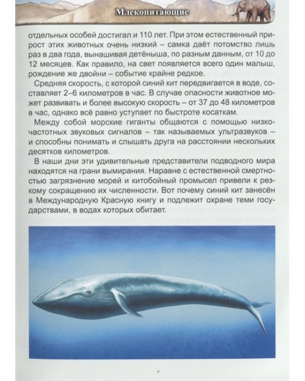 Гиганты животного мира