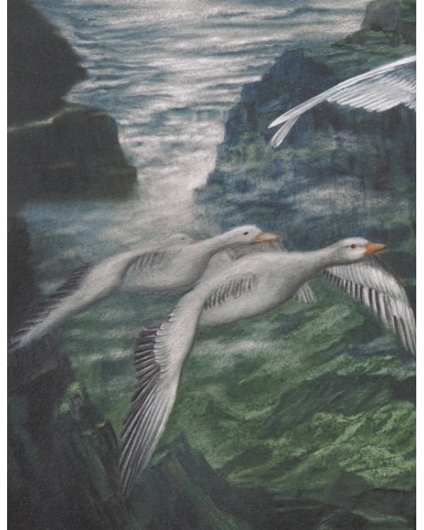 Чудесное путешествие Нильса с дикими гусями