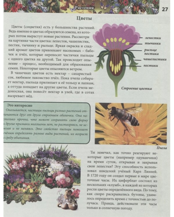 Моя первая энциклопедия