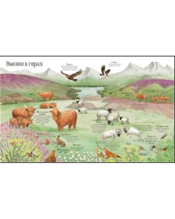 Встречи с дикой природой