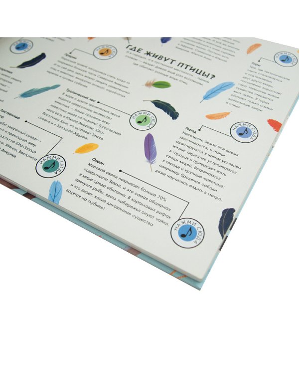 Звуки природы. Птицы