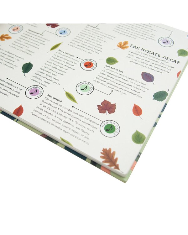 Звуки природы.Звери