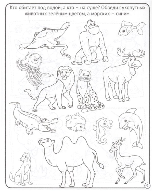 Окружающий мир. Моя рабочая тетрадь. Для детей 4-5 лет