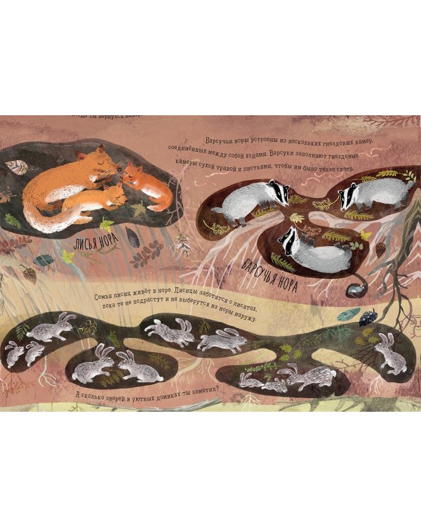 Что скрыто под асфальтом?