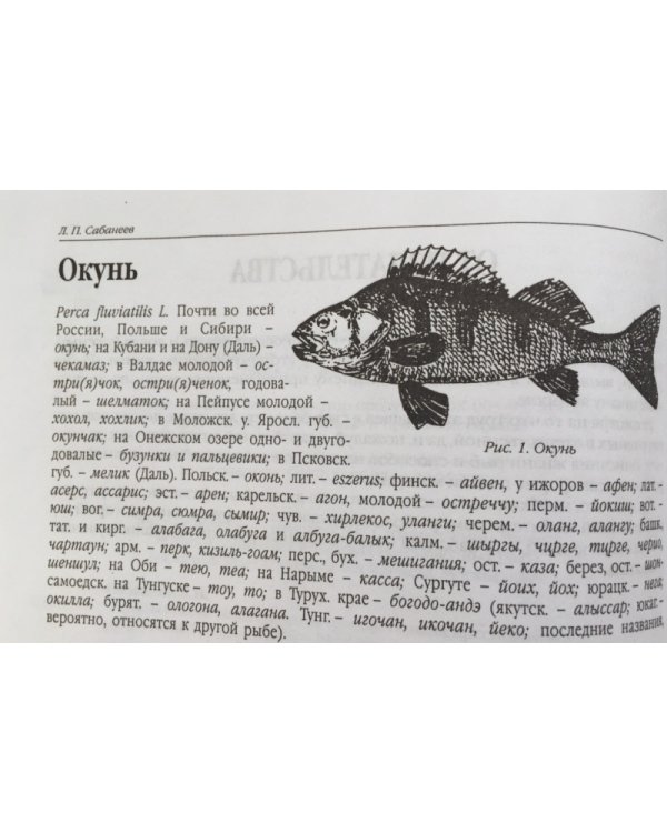 Рыбы России