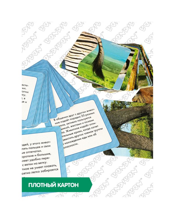 Настольная игра. Усатые и полосатые