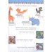Большая активити книга игр. Нескучные задания 7+