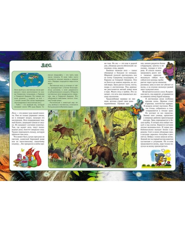 Животный мир нашей планеты