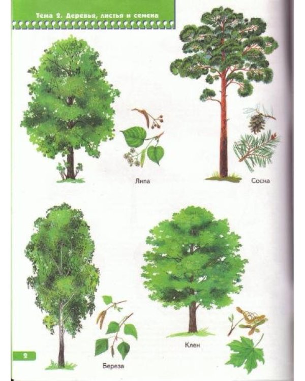 Я изучаю природу