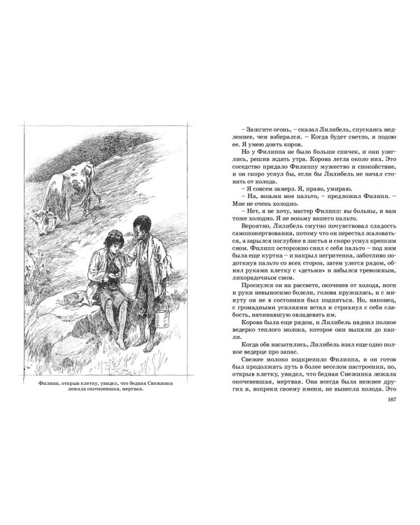 Дополнительное изображение книги «Приемыш черной Туанетты»