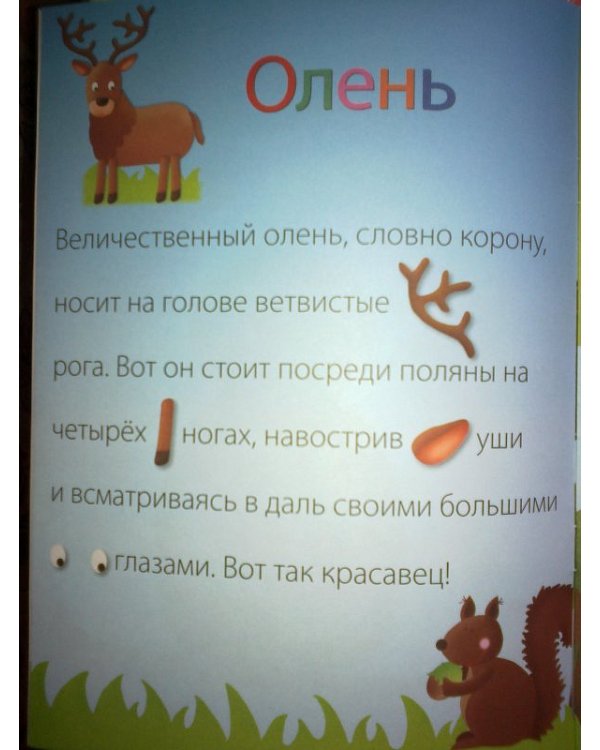 Дополнительное изображение книги «Лесные обитатели. Наклейки-конструктор»