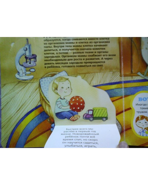 Человек. Детская энциклопедия с окошками
