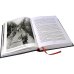 Святое дело. Вторая книга трилогии "Последняя республика"