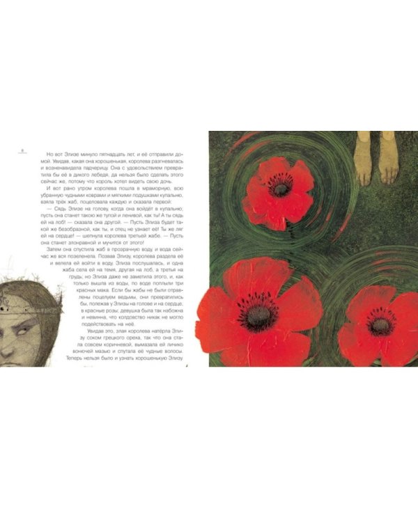 Дикие лебеди