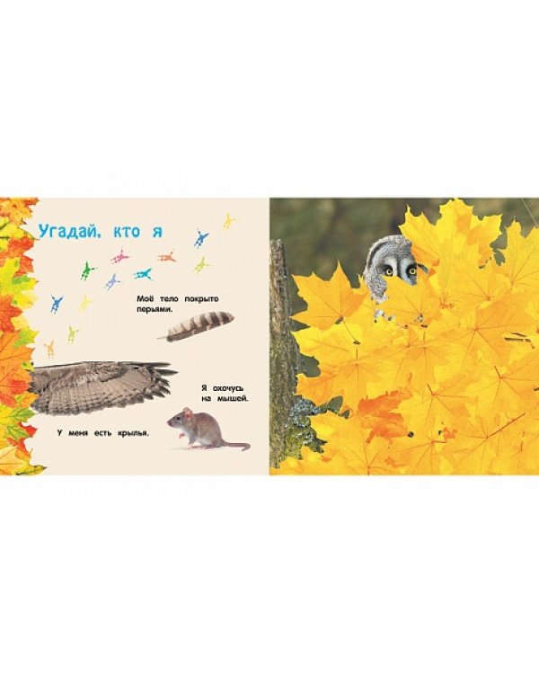 Дополнительное изображение книги «Дикие животные»