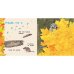 Дополнительное изображение книги «Дикие животные»